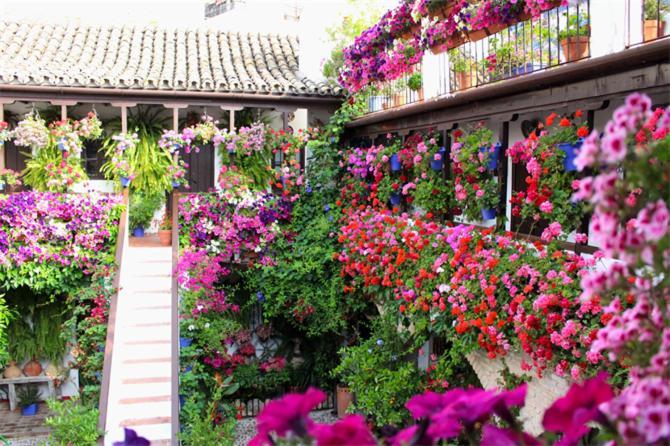 Apartamentos Los Patios De San Agustin Córdoba Eksteriør billede